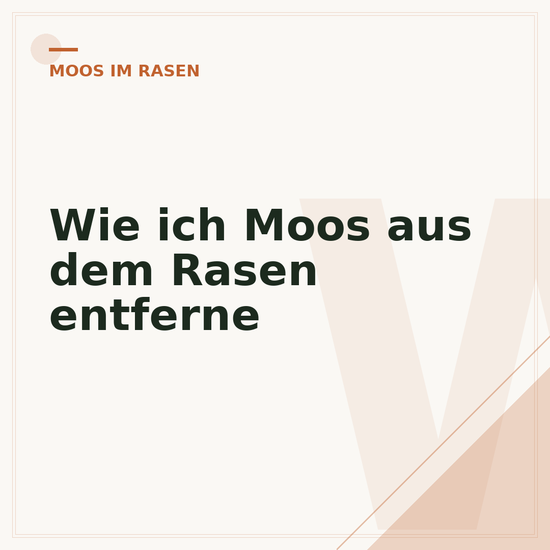 Wie ich Moos aus dem Rasen entferne