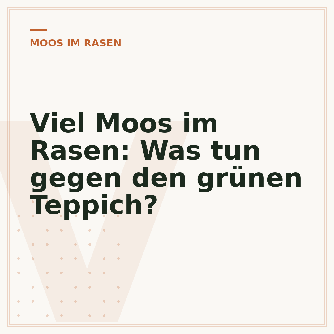 Viel Moos im Rasen: Was tun gegen den grünen Teppich?