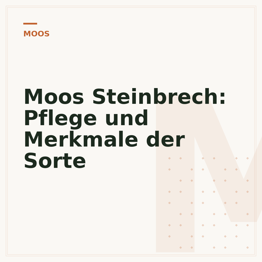 Moos Steinbrech: Pflege und Merkmale der Sorte