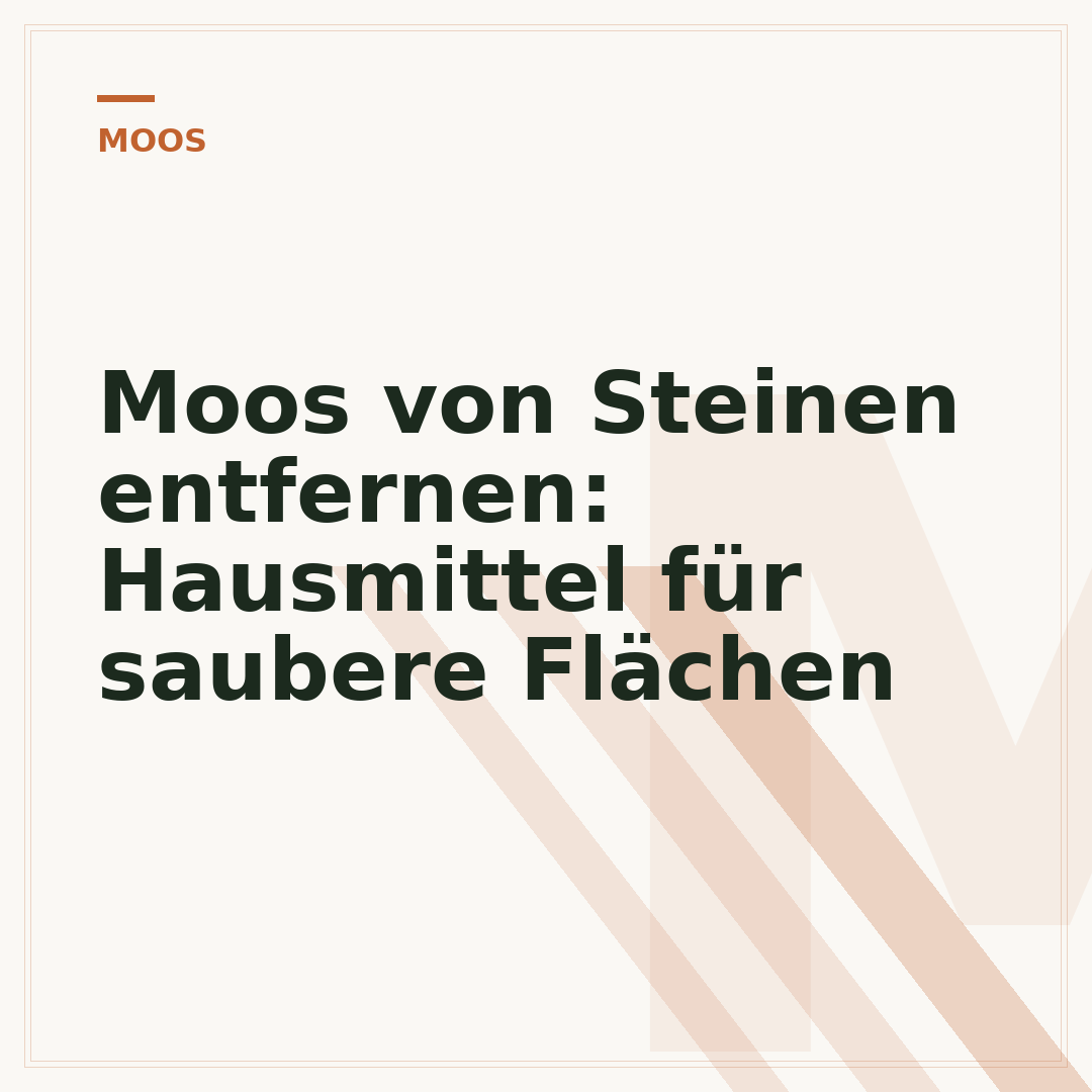 Moos von Steinen entfernen: Hausmittel für saubere Flächen