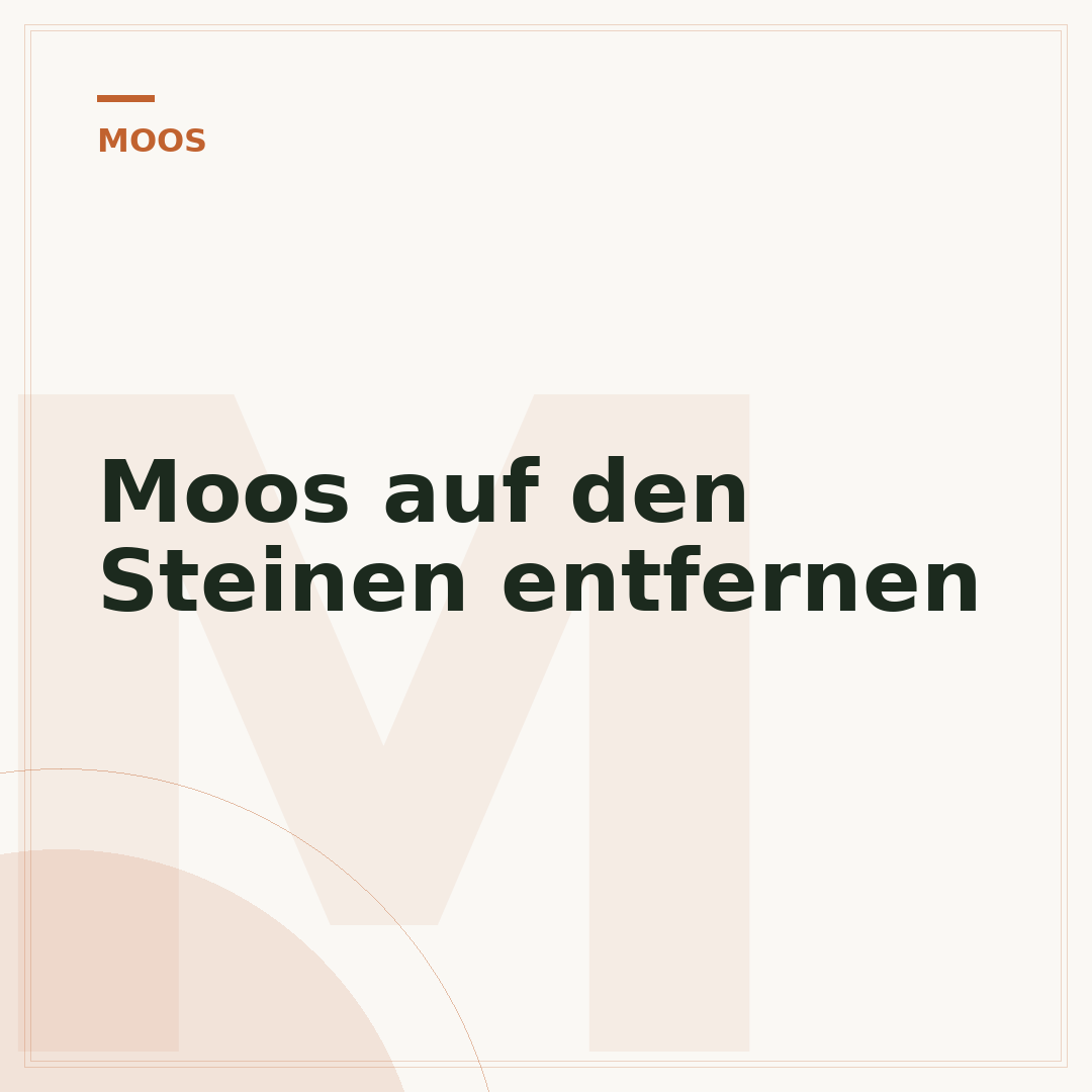 Moos auf den Steinen entfernen