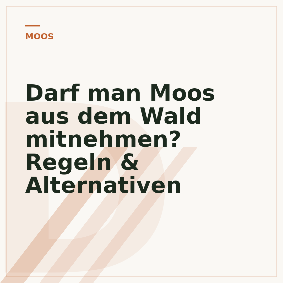 Darf man Moos aus dem Wald mitnehmen? Regeln & Alternativen