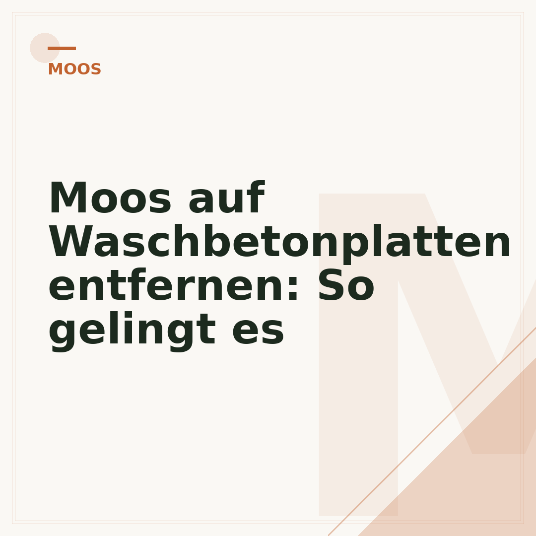 Moos auf Waschbetonplatten entfernen: So gelingt es