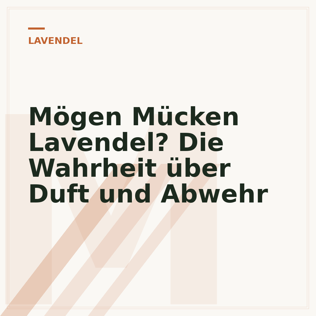 Mögen Mücken Lavendel? Die Wahrheit über Duft und Abwehr