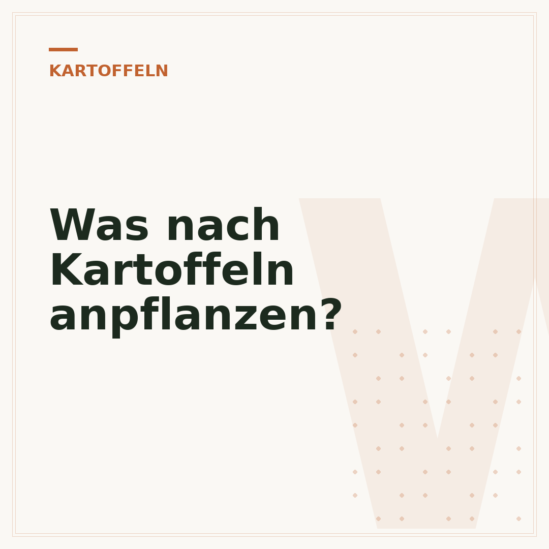 Was nach Kartoffeln anpflanzen?