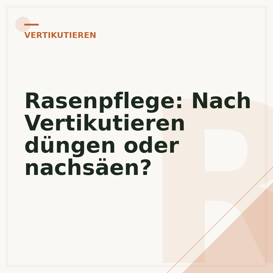 Rasenpflege: Nach Vertikutieren düngen oder nachsäen?