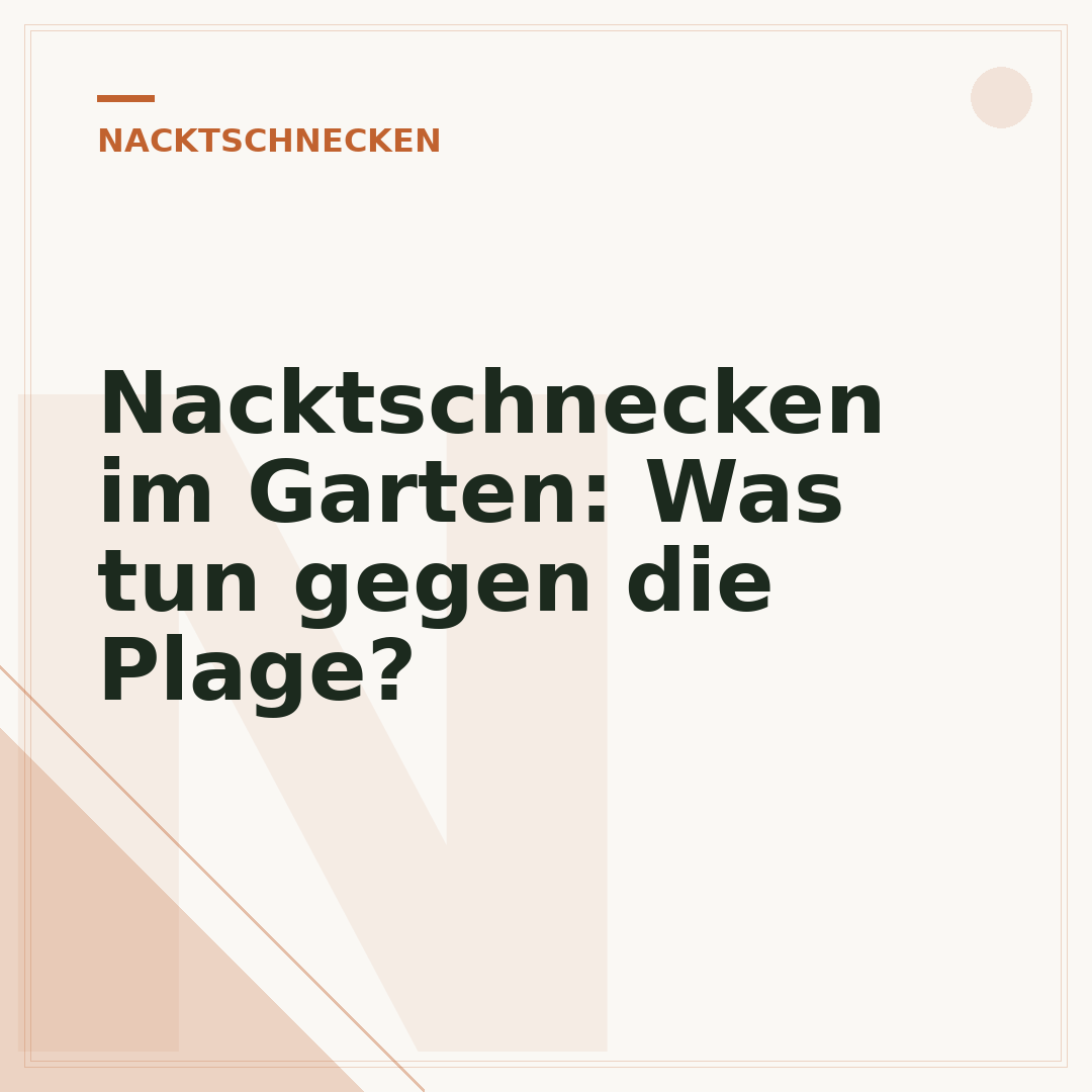 Nacktschnecken im Garten: Was tun gegen die Plage?