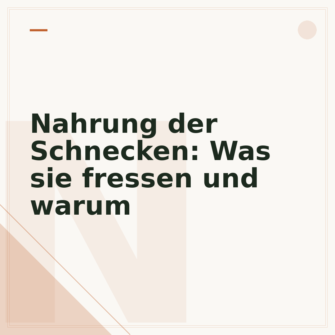Nahrung der Schnecken: Was sie fressen und warum