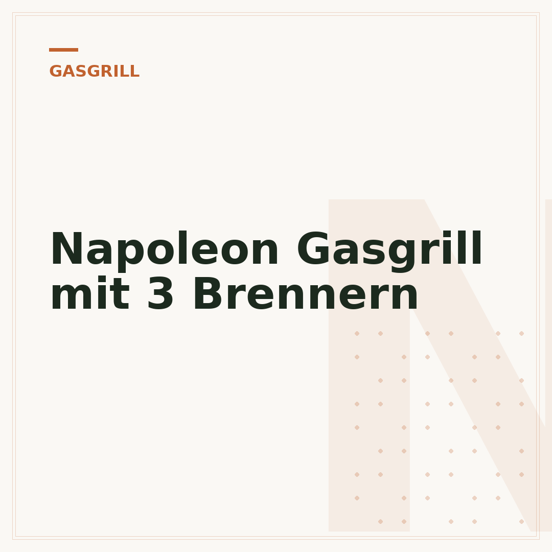 Napoleon Gasgrill mit 3 Brennern