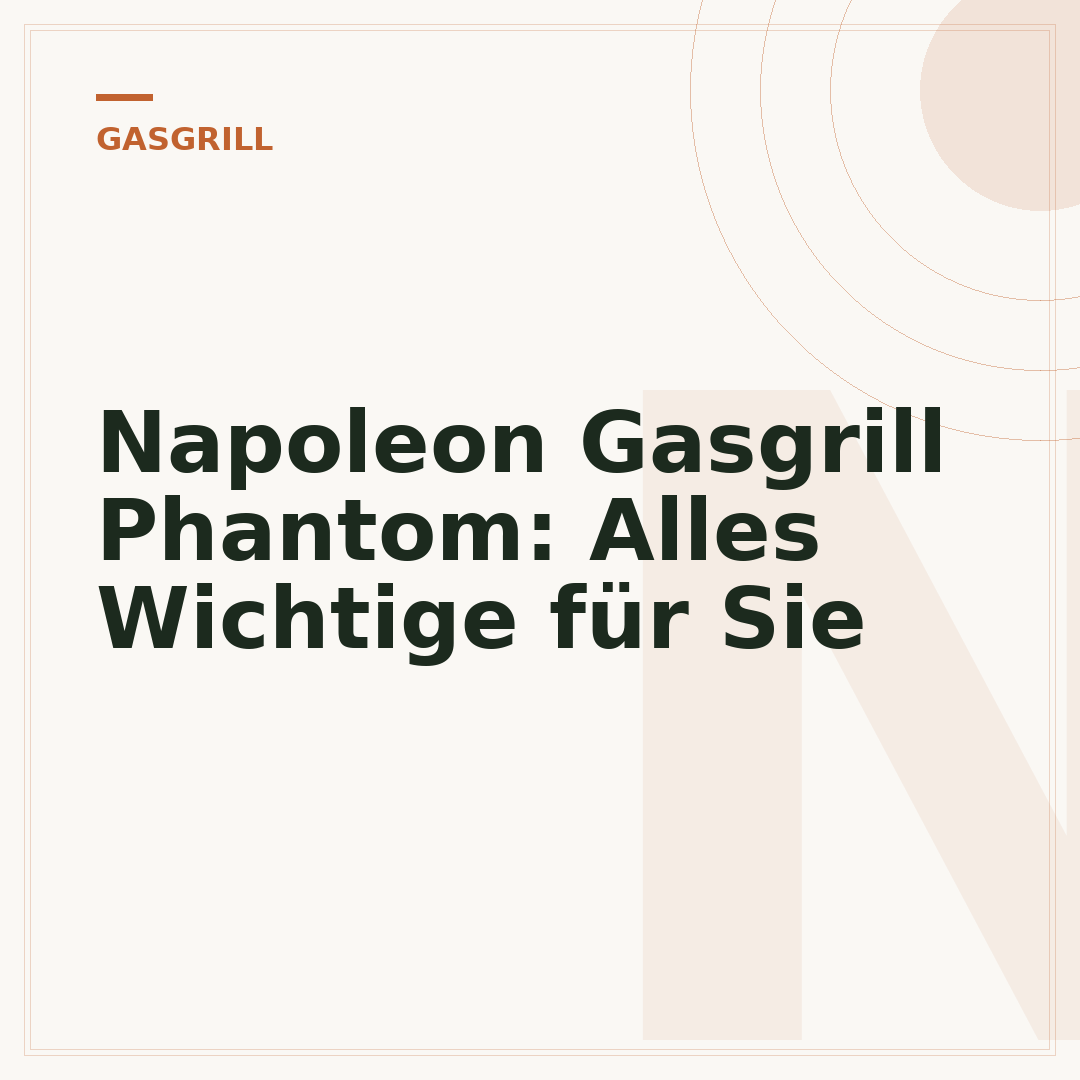 Napoleon Gasgrill Phantom: Alles Wichtige für Sie