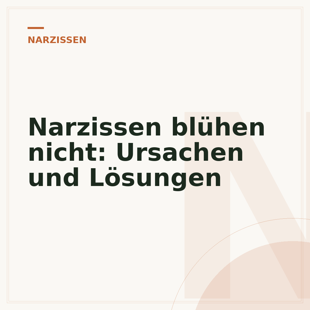 Narzissen blühen nicht: Ursachen und Lösungen
