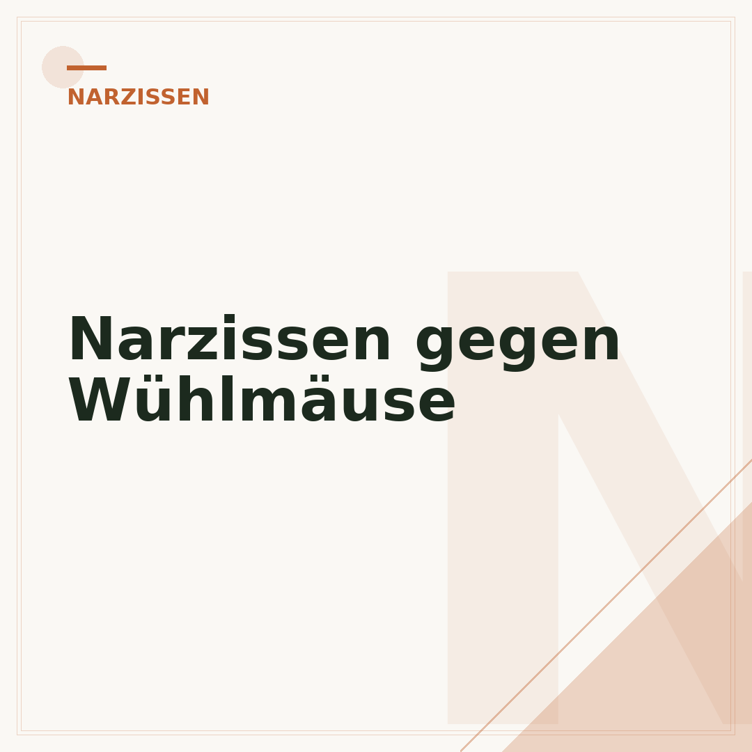Narzissen gegen Wühlmäuse