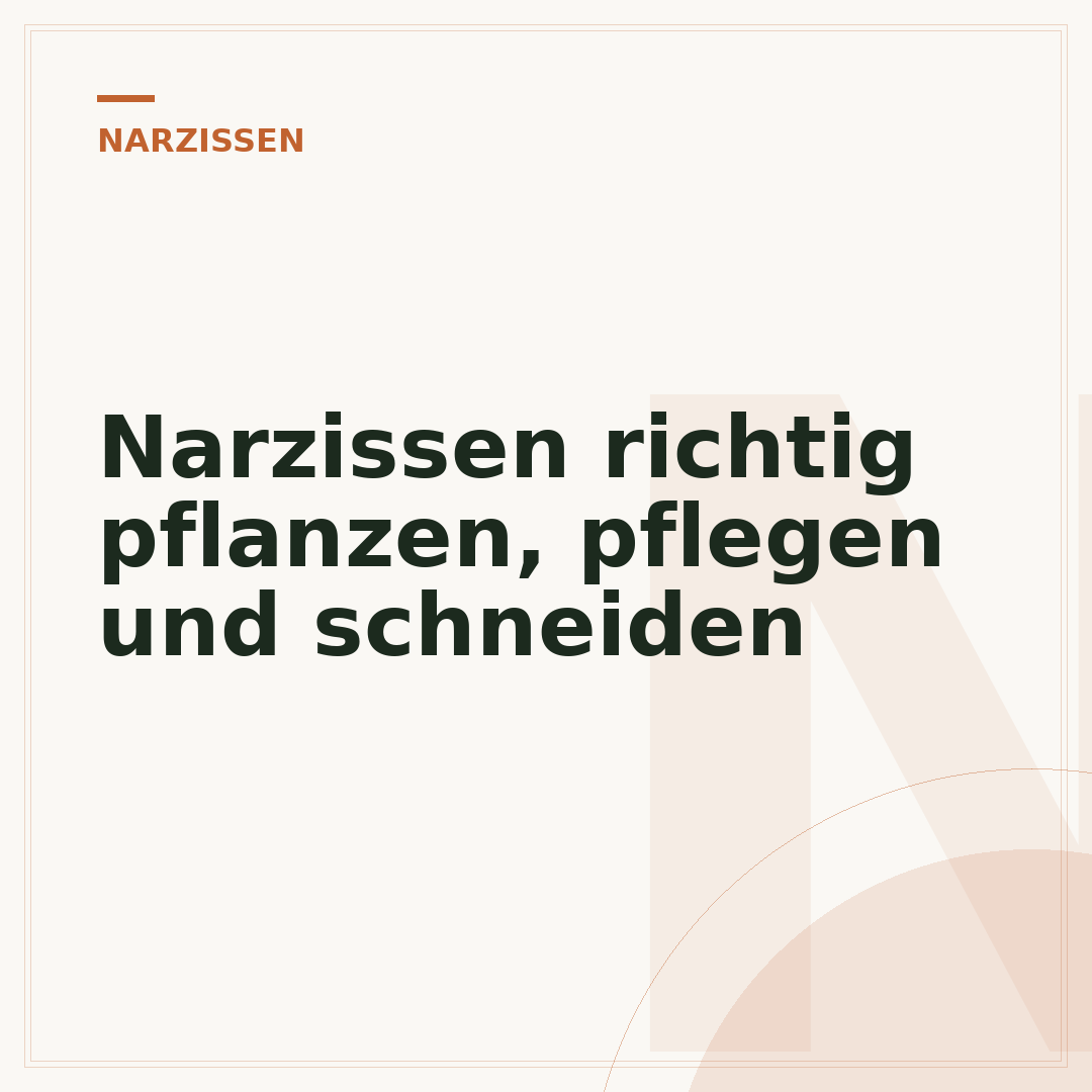 Narzissen richtig pflanzen, pflegen und schneiden