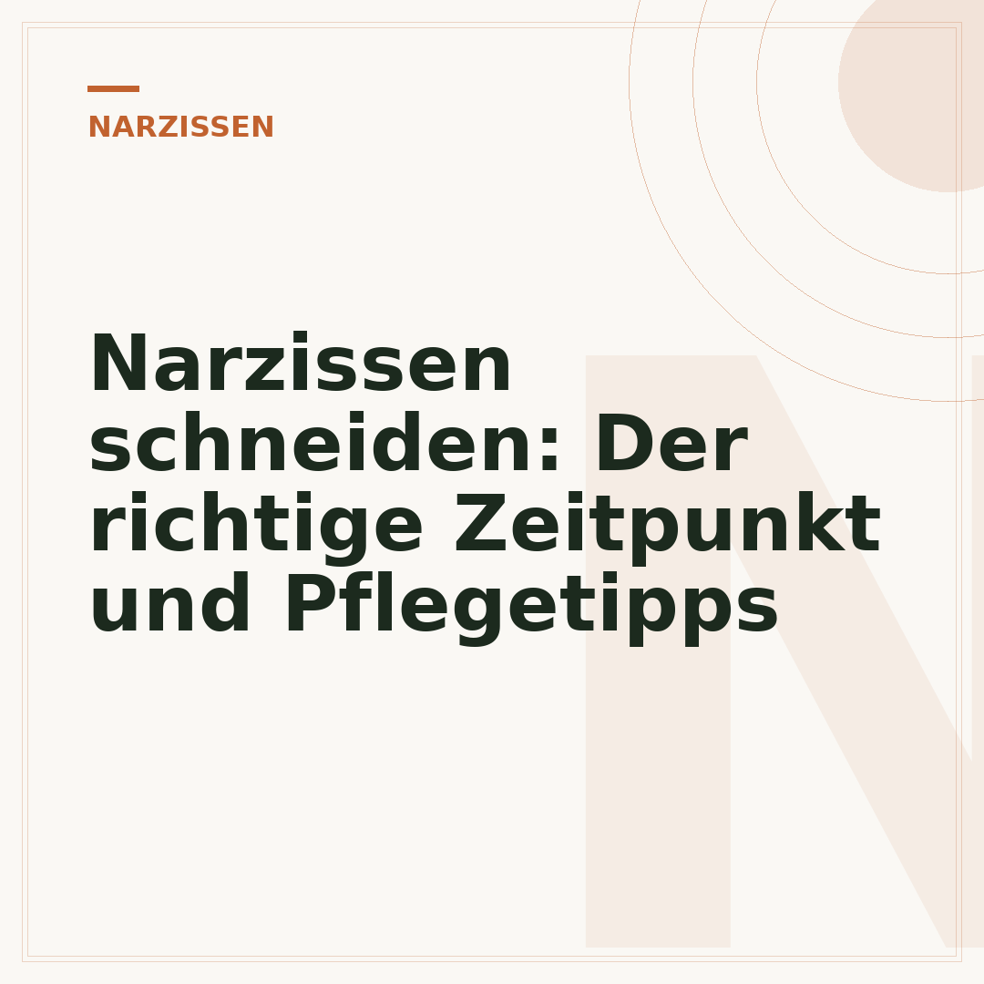 Narzissen schneiden: Der richtige Zeitpunkt und Pflegetipps