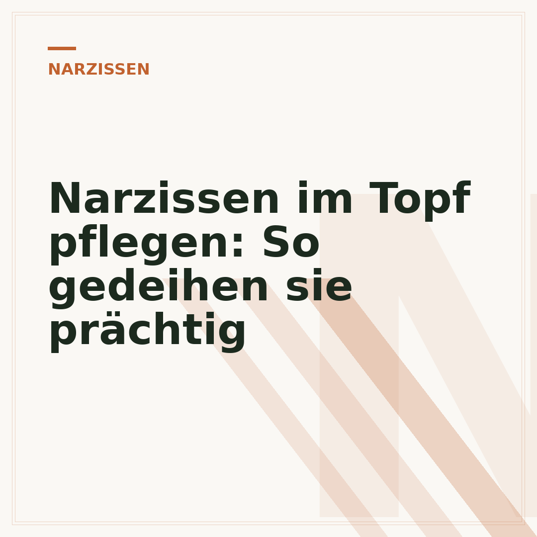Narzissen im Topf pflegen: So gedeihen sie prächtig