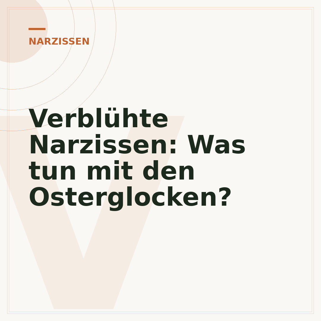 Verblühte Narzissen: Was tun mit den Osterglocken?