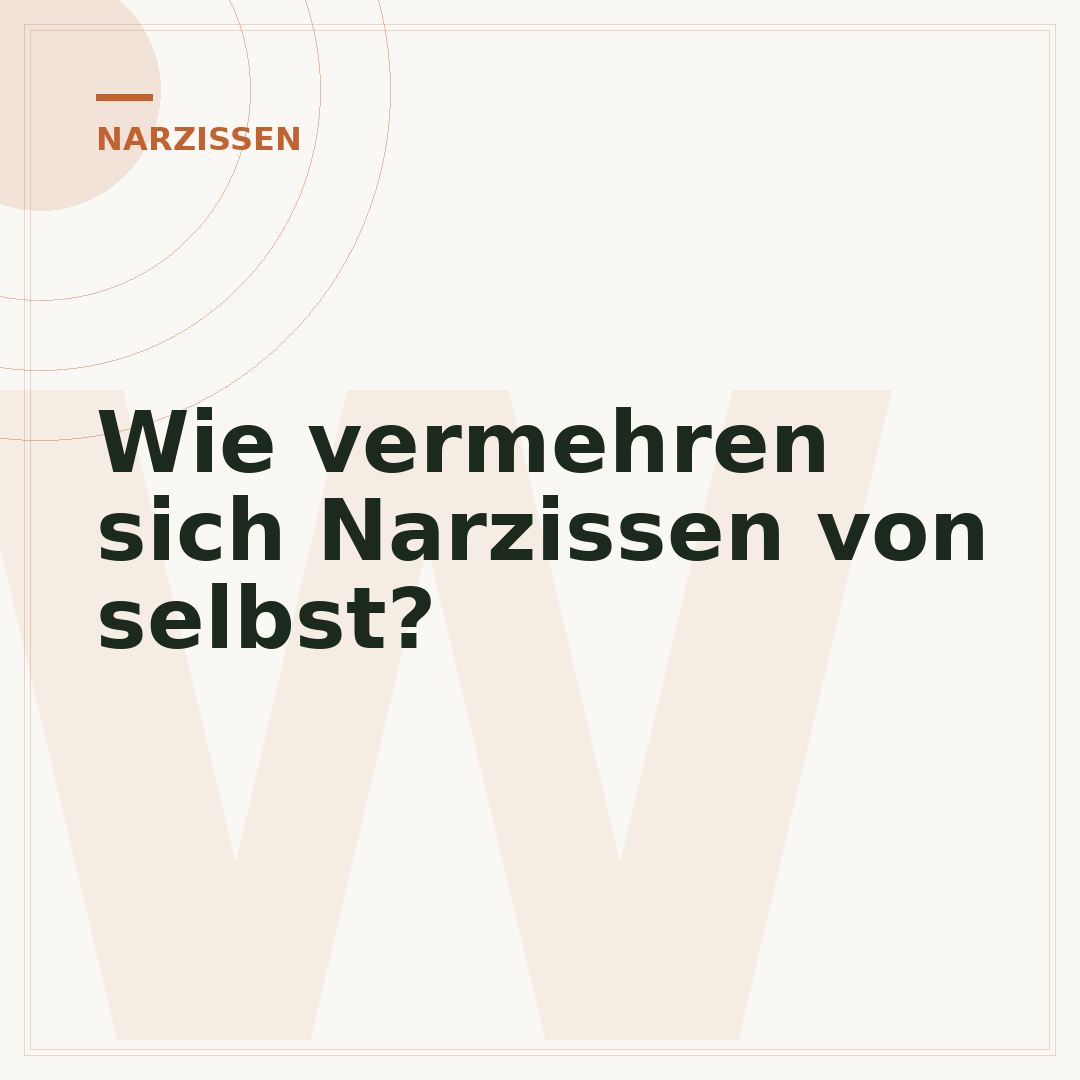 Wie vermehren sich Narzissen von selbst?