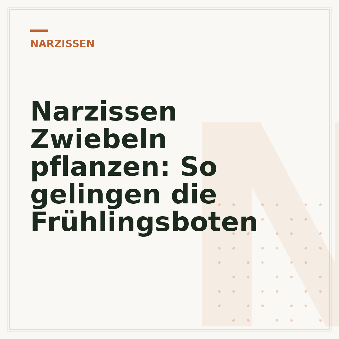 Narzissen Zwiebeln pflanzen: So gelingen die Frühlingsboten