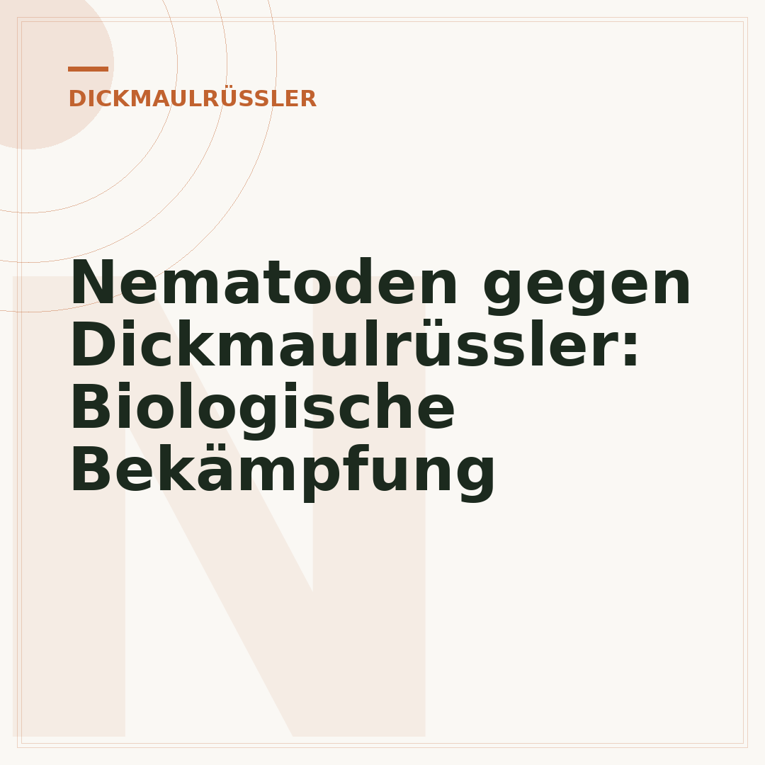 Nematoden gegen Dickmaulrüssler: Biologische Bekämpfung