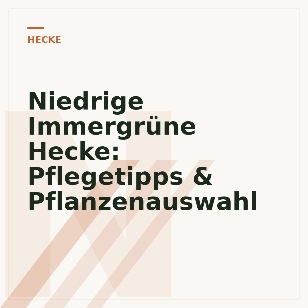 Niedrige Immergrüne Hecke: Pflegetipps & Pflanzenauswahl