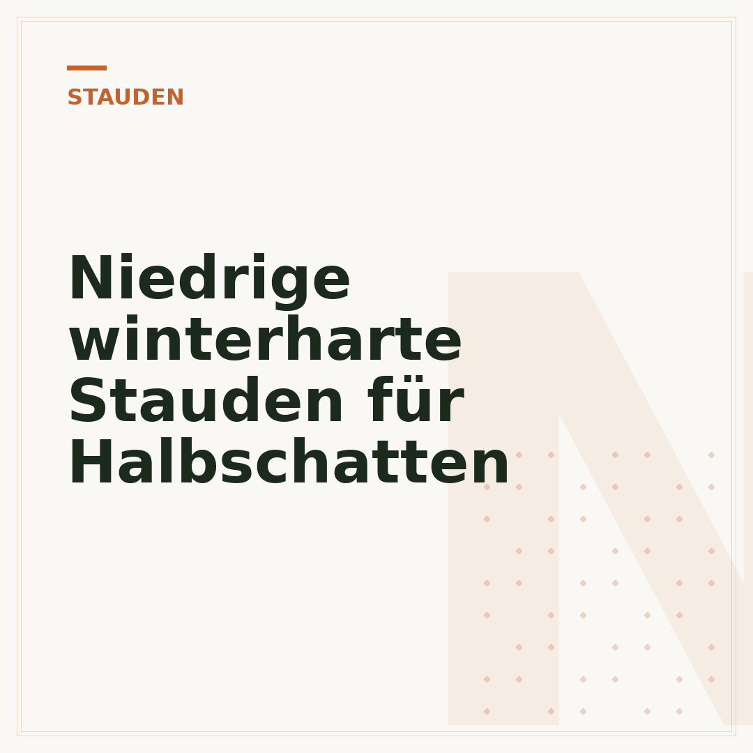Niedrige winterharte Stauden für Halbschatten