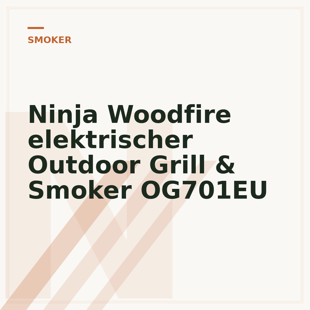Ninja Woodfire elektrischer Outdoor Grill & Smoker OG701EU