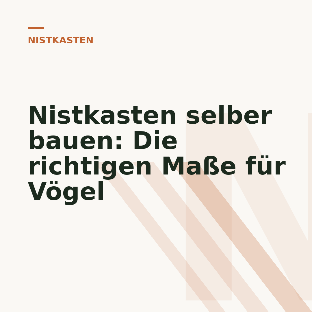 Nistkasten selber bauen: Die richtigen Maße für Vögel