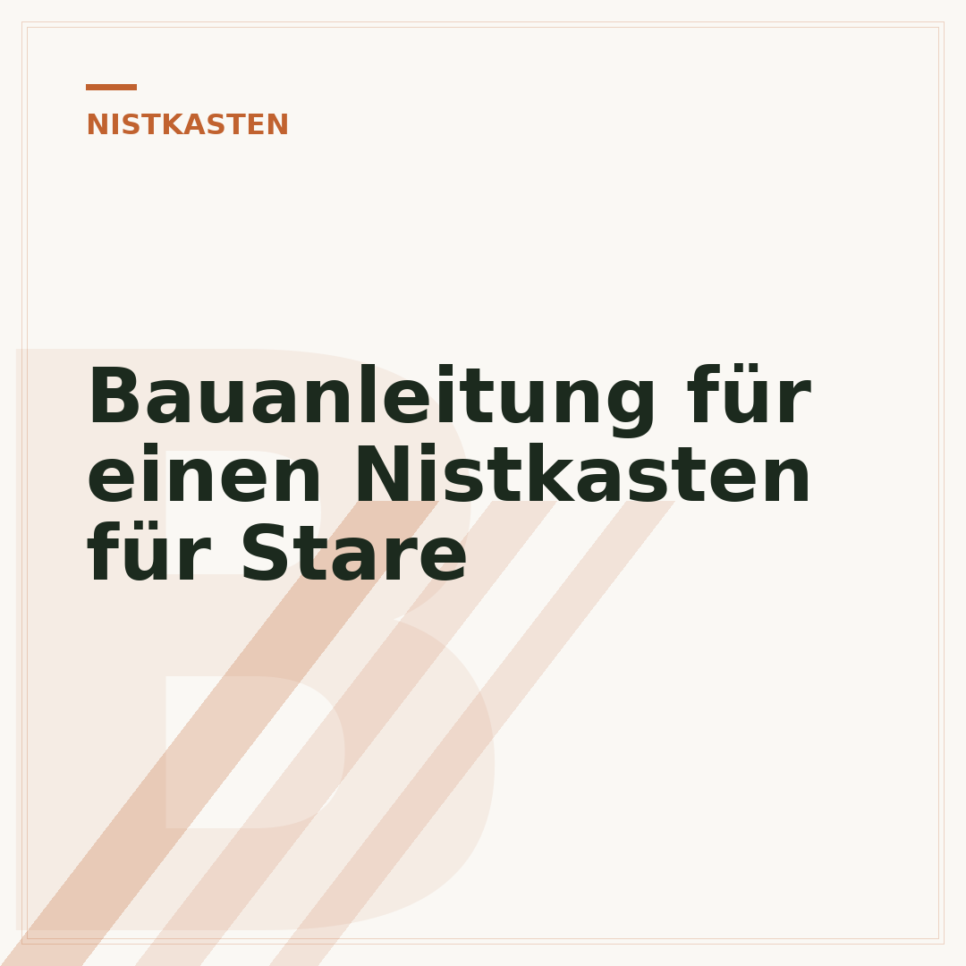 Bauanleitung für einen Nistkasten für Stare