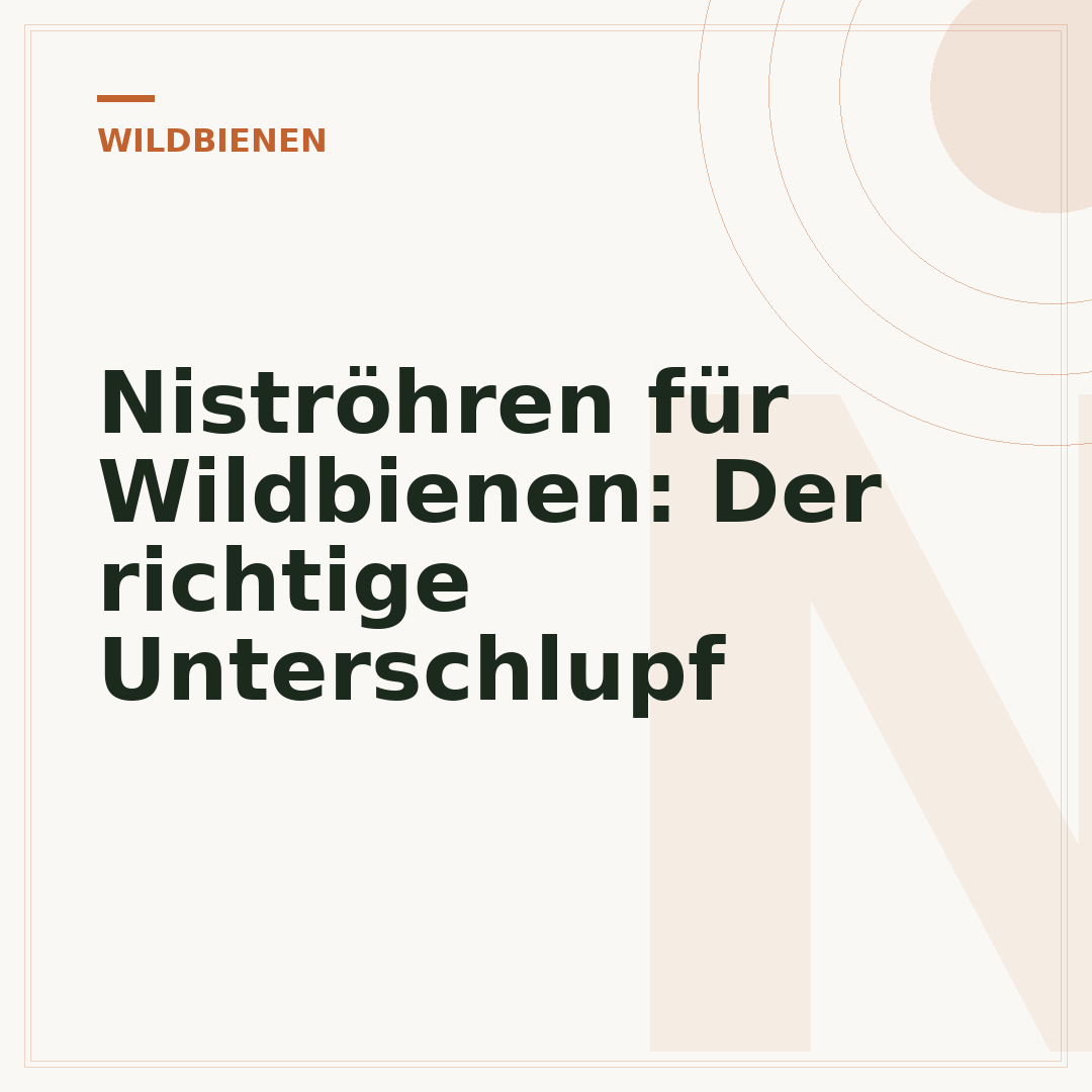 Niströhren für Wildbienen: Der richtige Unterschlupf
