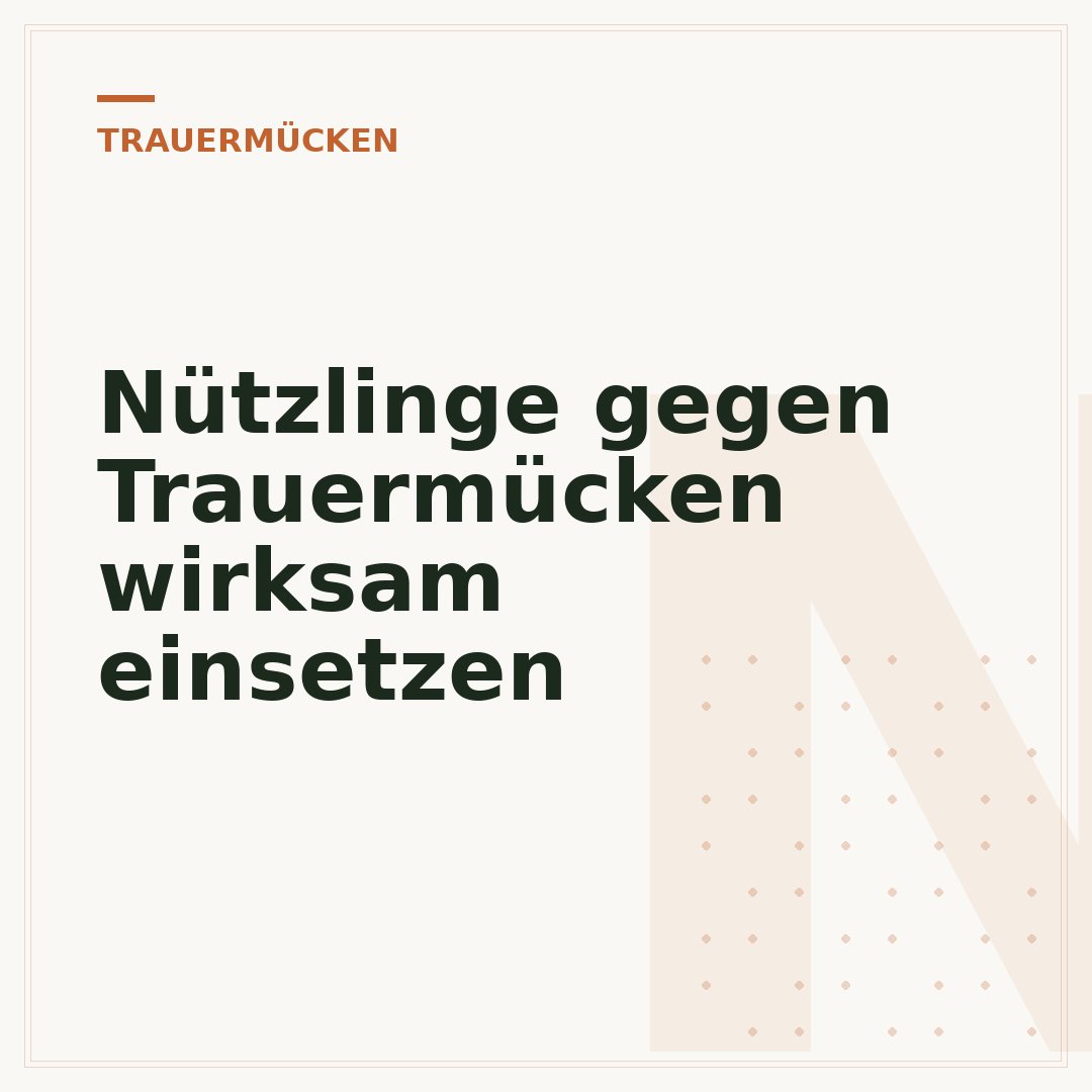 Nützlinge gegen Trauermücken wirksam einsetzen