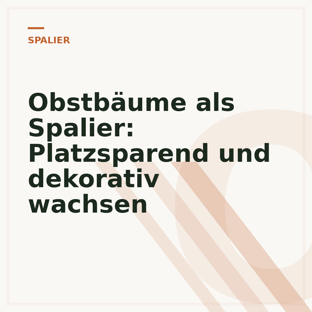 Obstbäume als Spalier: Platzsparend und dekorativ wachsen