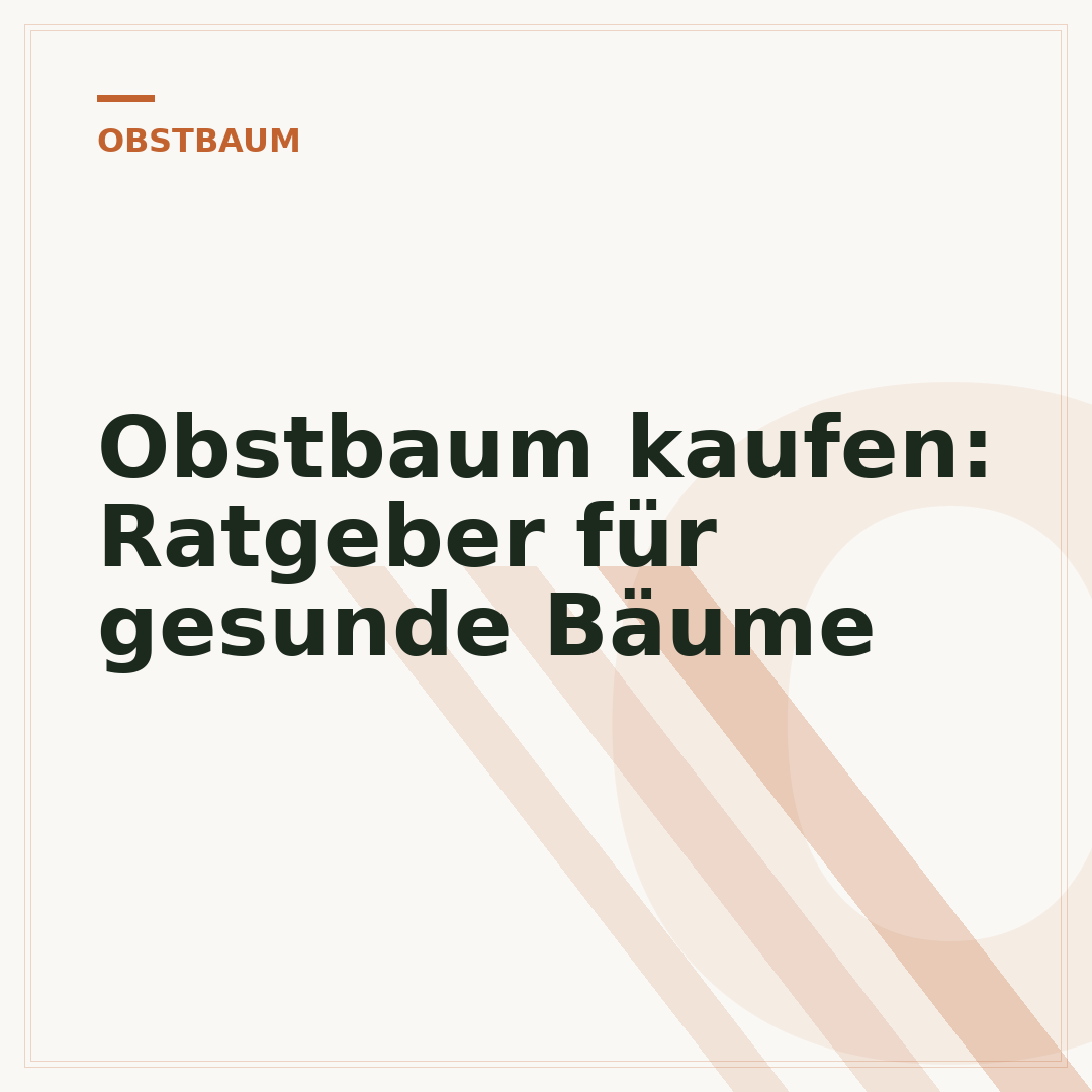 Obstbaum kaufen: Ratgeber für gesunde Bäume