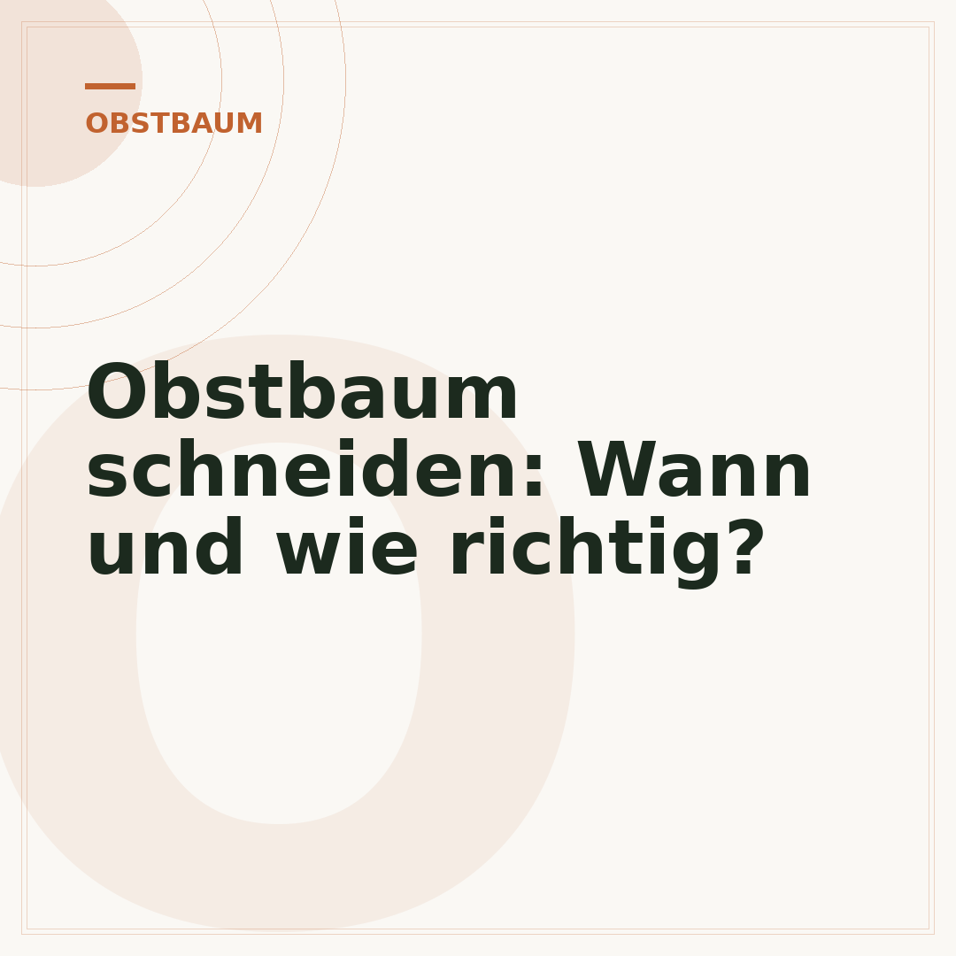 Obstbaum schneiden: Wann und wie richtig?