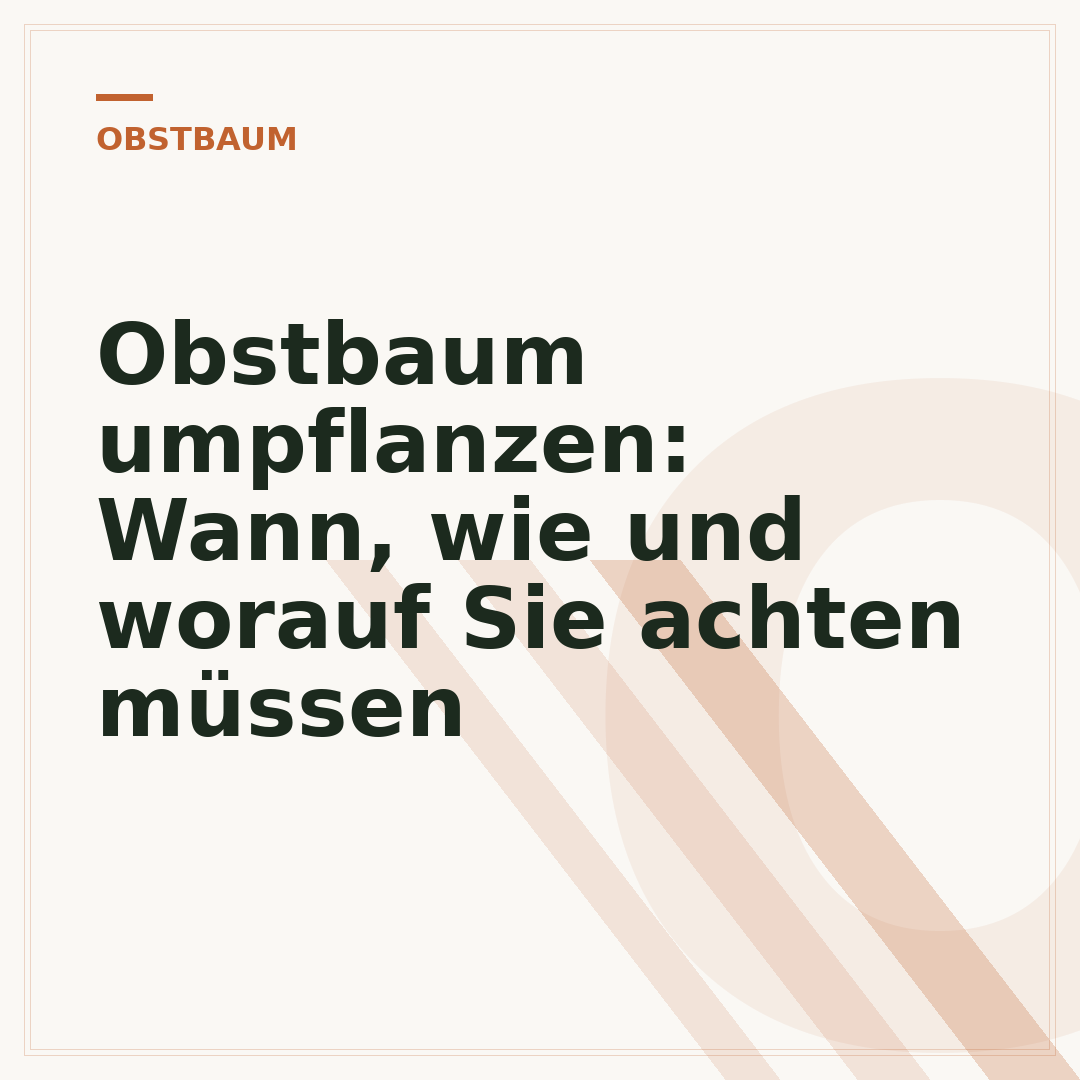 Obstbaum umpflanzen: Wann, wie und worauf Sie achten müssen