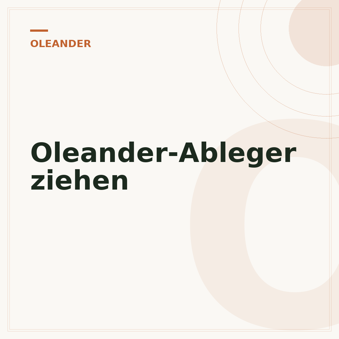 Oleander-Ableger ziehen