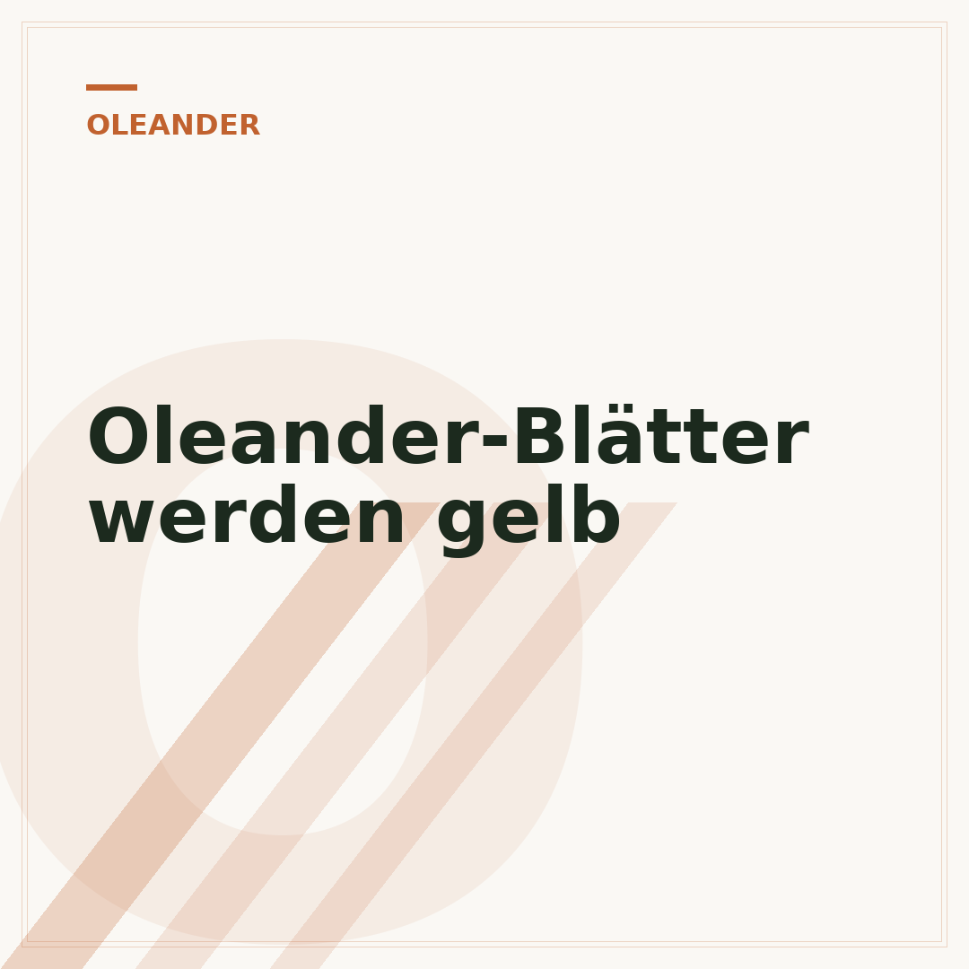 Oleander-Blätter werden gelb