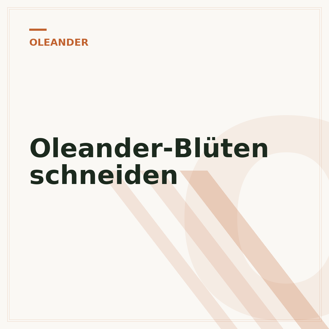 Oleander-Blüten schneiden