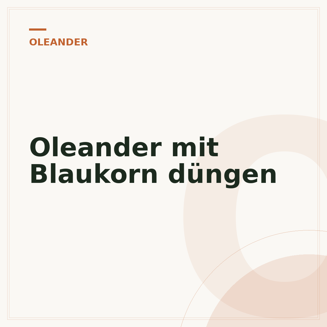 Oleander mit Blaukorn düngen