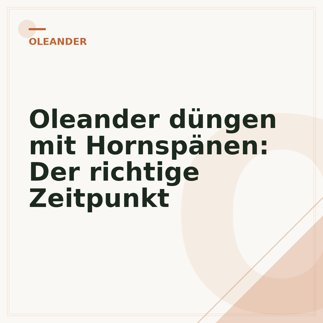 Oleander düngen mit Hornspänen: Der richtige Zeitpunkt