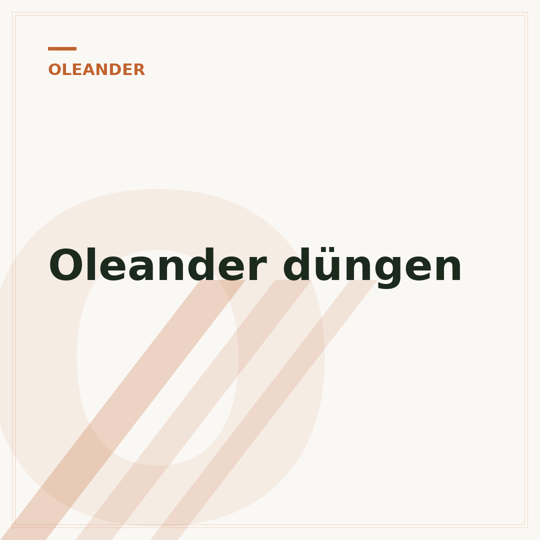 Oleander düngen