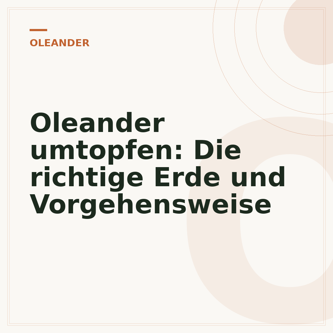 Oleander umtopfen: Die richtige Erde und Vorgehensweise