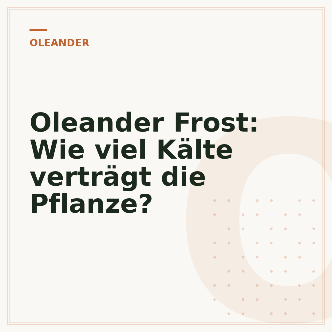Oleander Frost: Wie viel Kälte verträgt die Pflanze?