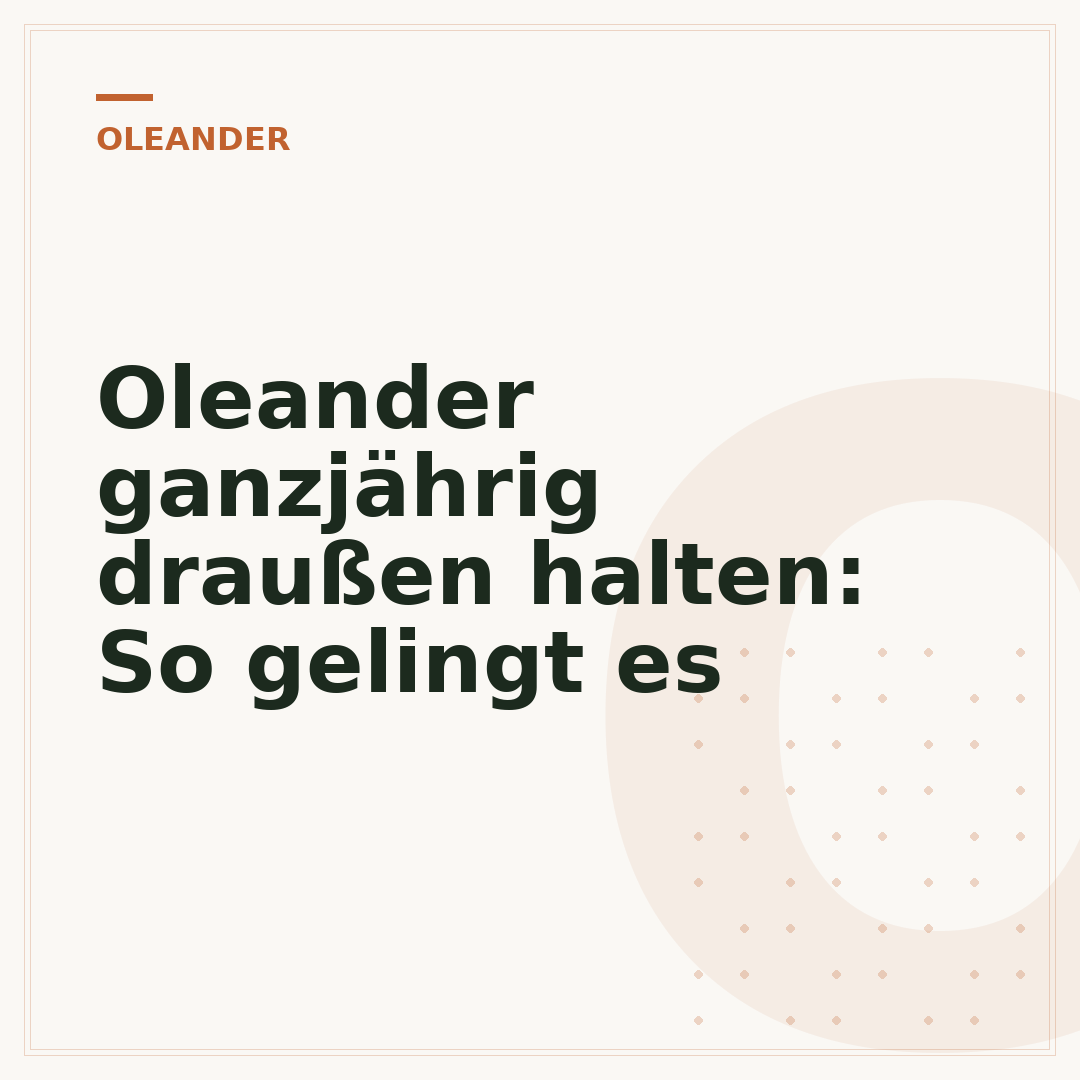 Oleander ganzjährig draußen halten: So gelingt es