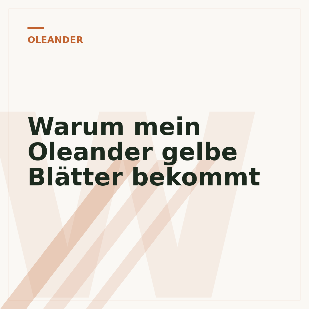 Warum mein Oleander gelbe Blätter bekommt