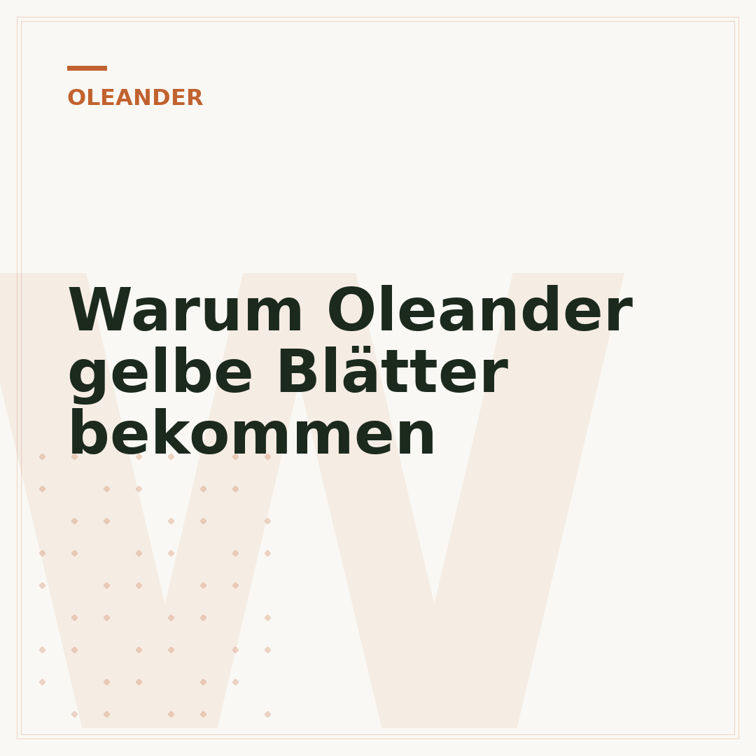Warum Oleander gelbe Blätter bekommen