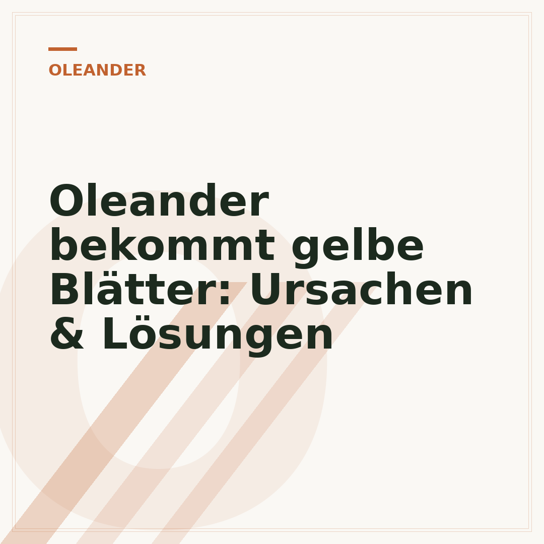 Oleander bekommt gelbe Blätter: Ursachen & Lösungen