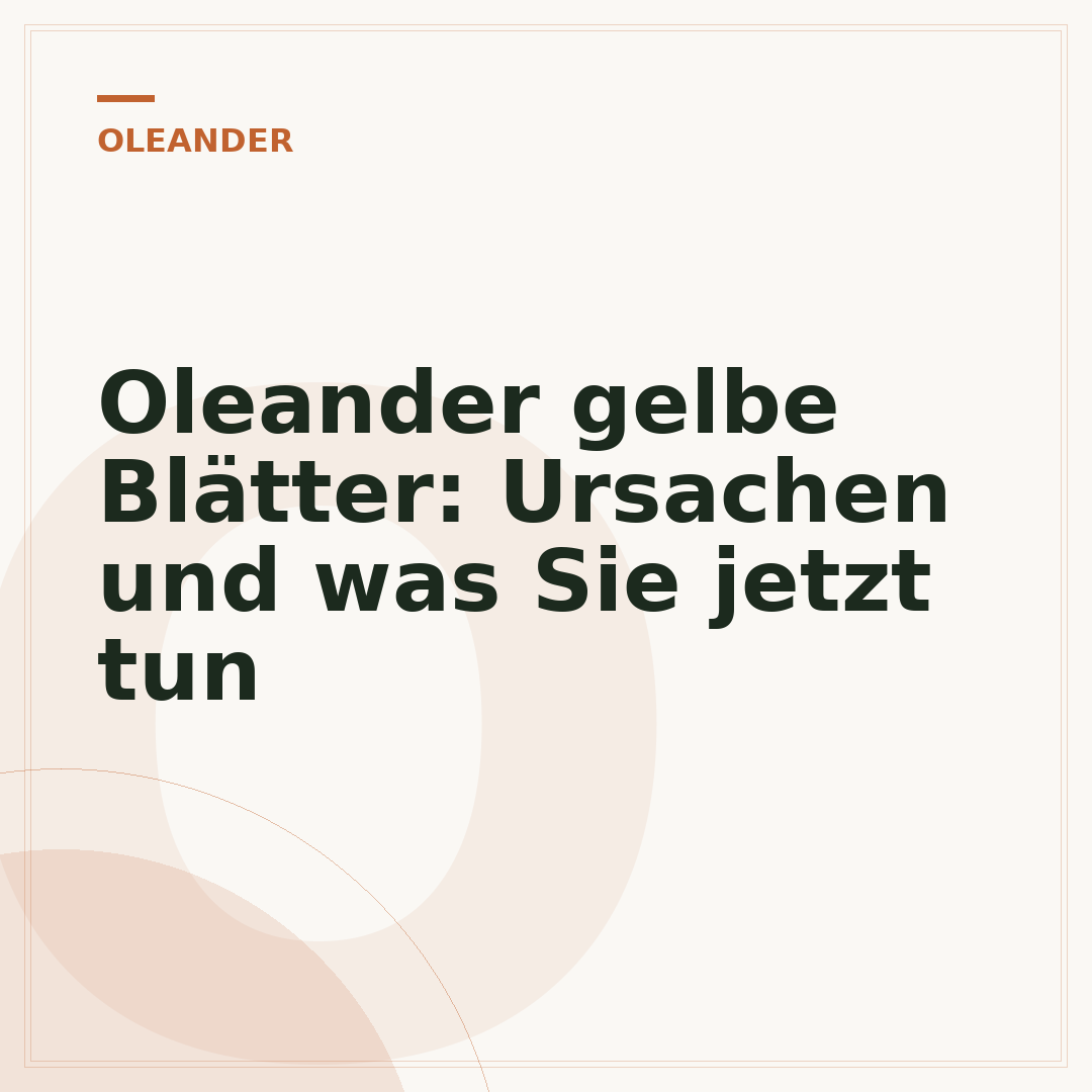Oleander gelbe Blätter: Ursachen und was Sie jetzt tun