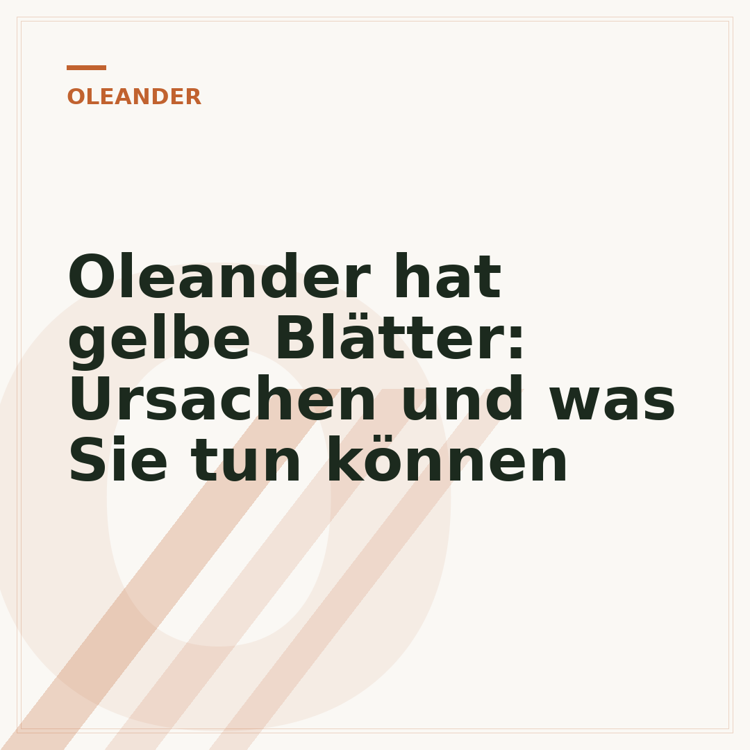 Oleander hat gelbe Blätter: Ursachen und was Sie tun können