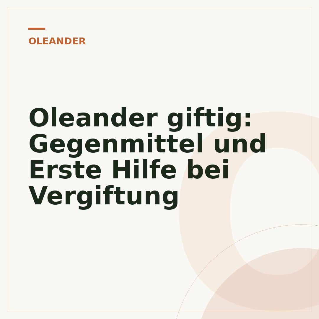 Oleander giftig: Gegenmittel und Erste Hilfe bei Vergiftung