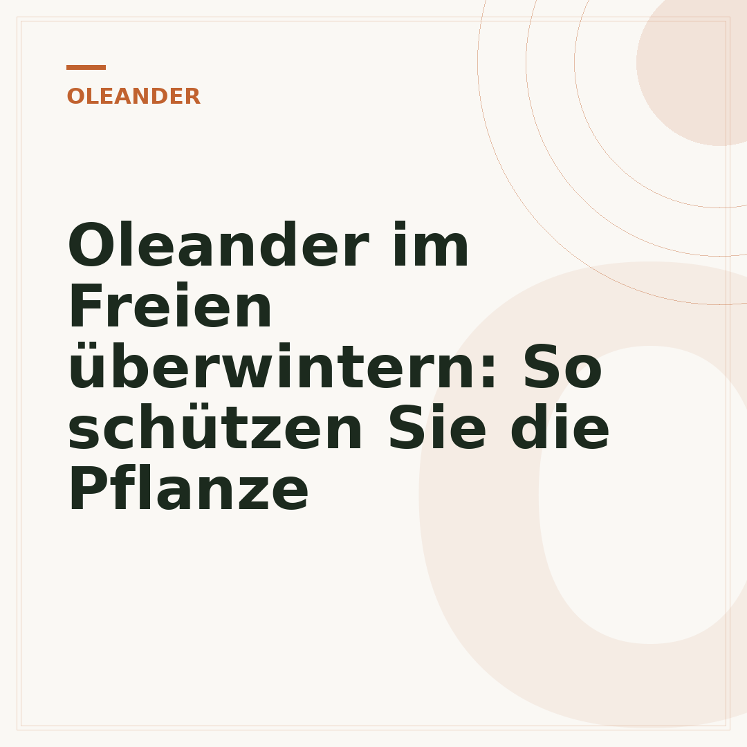 Oleander im Freien überwintern: So schützen Sie die Pflanze
